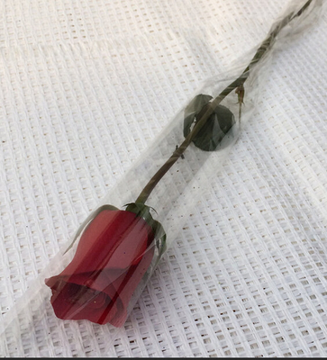Douilles simples de Rose de fleur transparente biodégradable pour le magasin de fleurs/magasin de détail